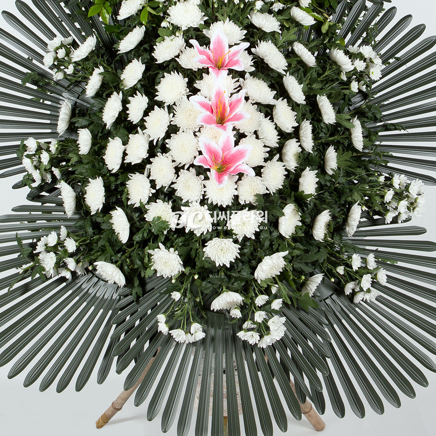 상세이미지