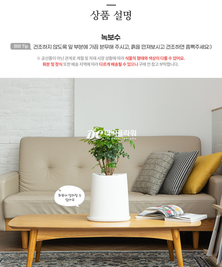상세이미지