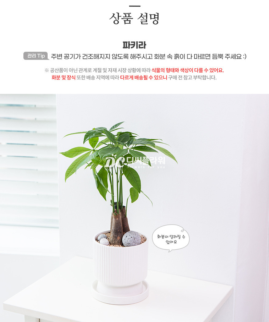 상세이미지