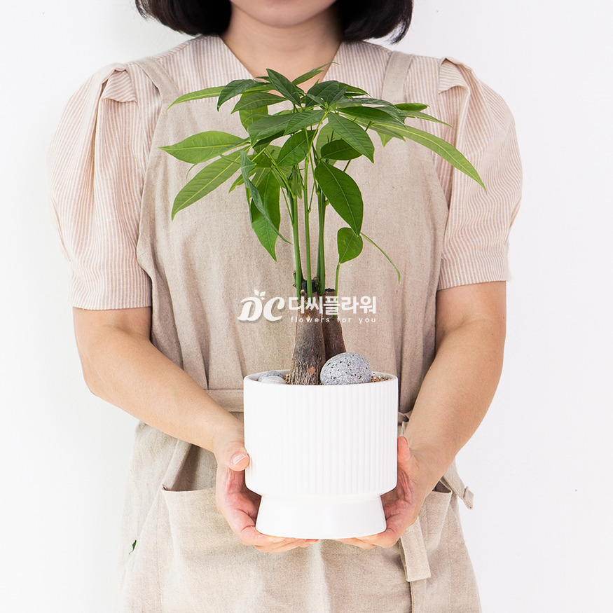 상세이미지