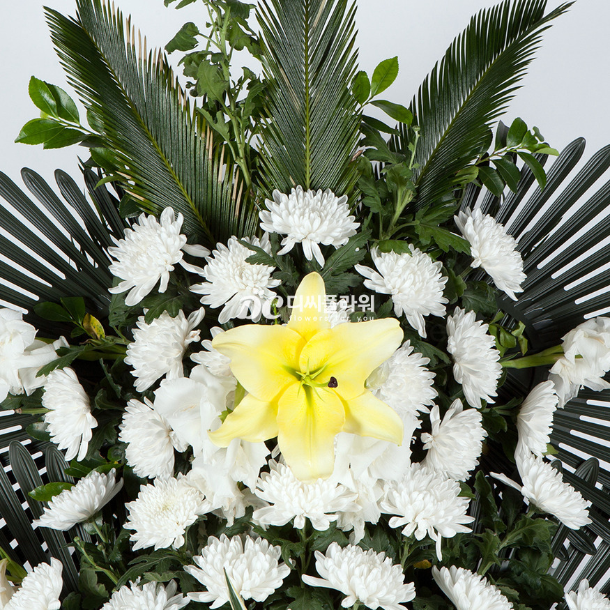 상세이미지