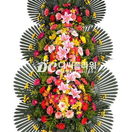 축하3단//축하합니다