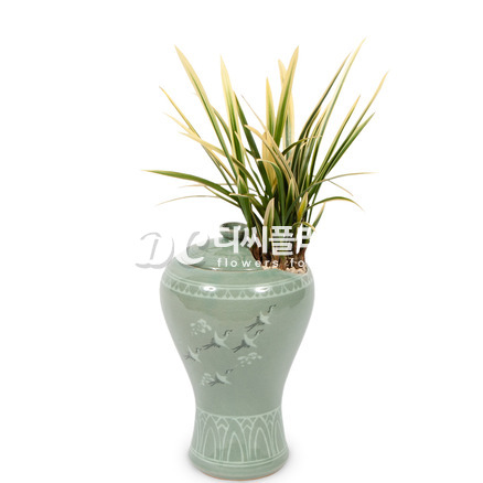 황룡금청자분