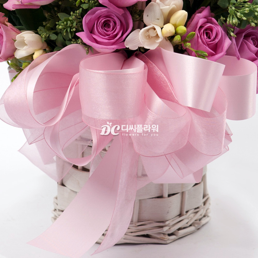 상세이미지