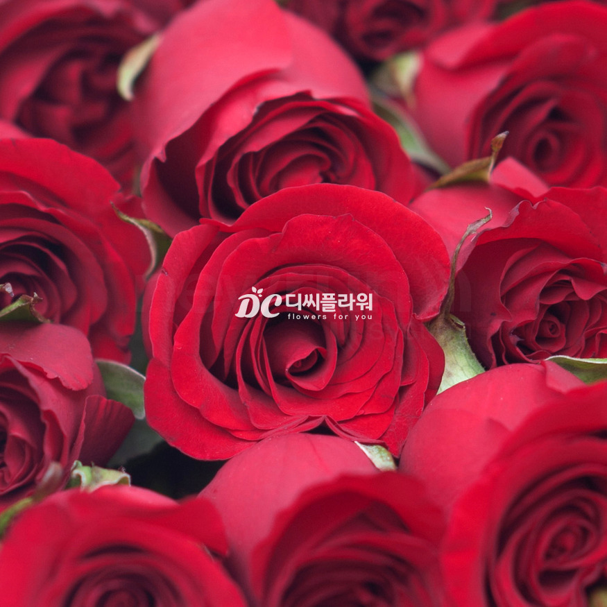 상세이미지