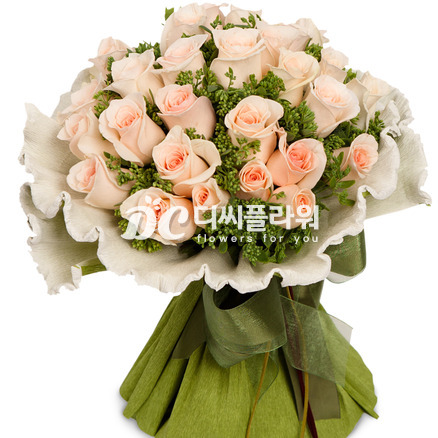 부르트