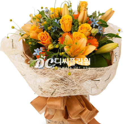 신비한 사람