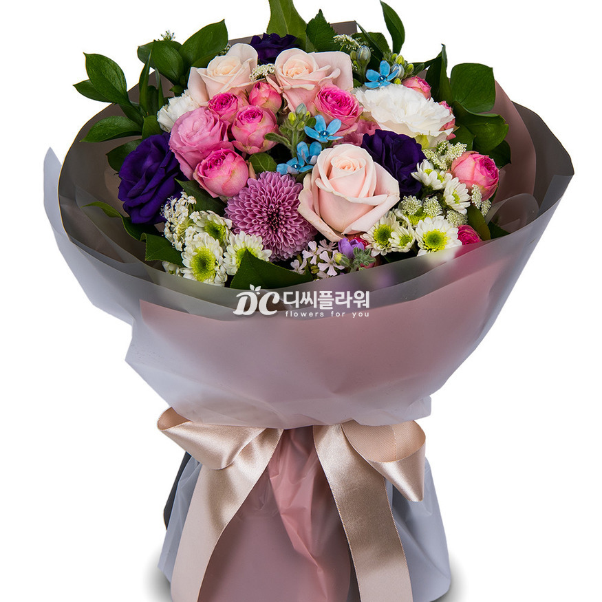 상세이미지