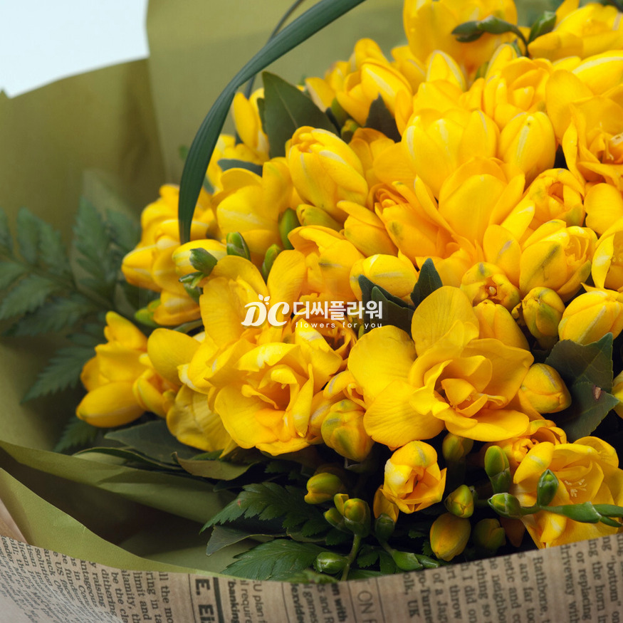 상세이미지