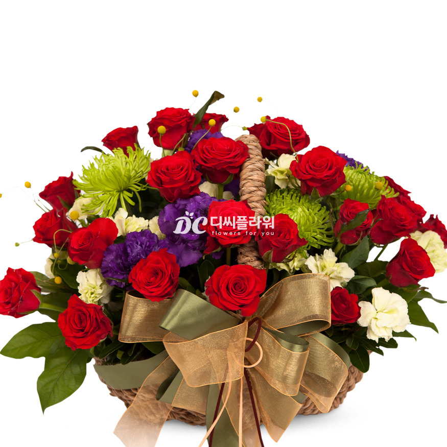 상세이미지