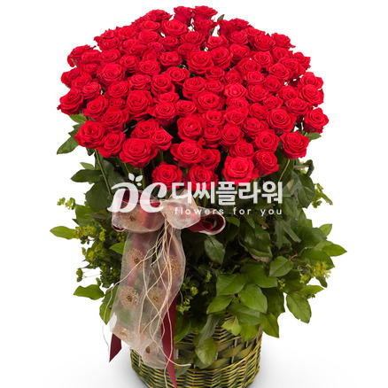 사랑하는 그대에게