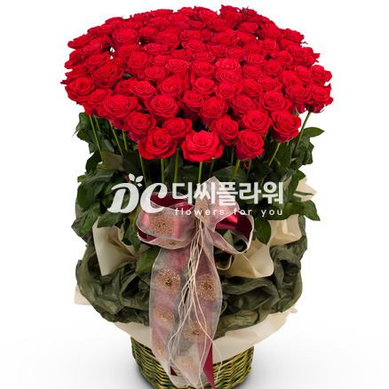 내 마음을 담아