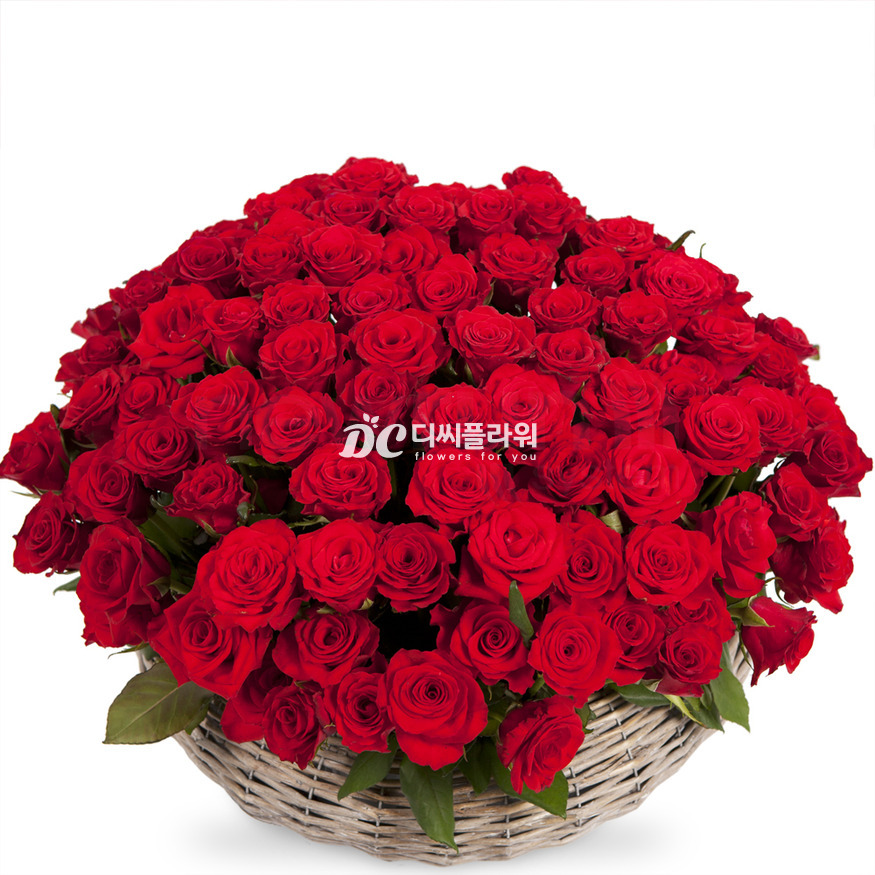 상세이미지