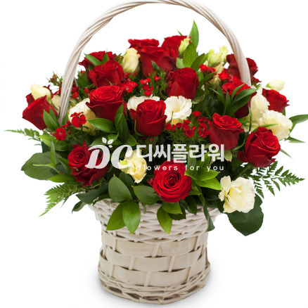 사랑의 파수꾼♥최고인기상품