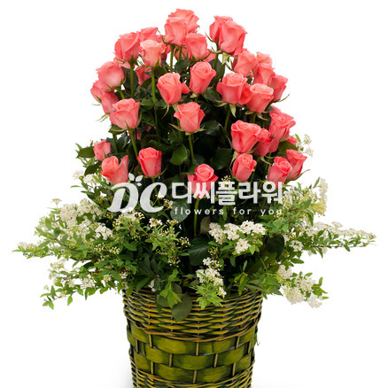내 사랑 여인이여~