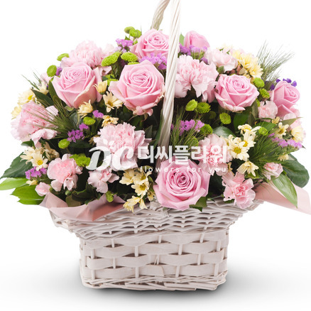 핑크 2호