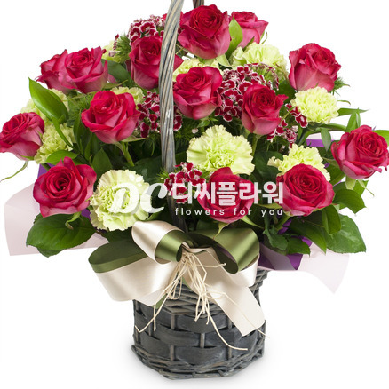 로즈 17호