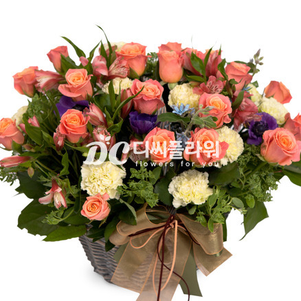 핑크톤바구니