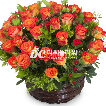 주황장미한가득
