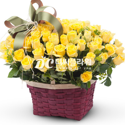노랑이2