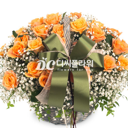 엘로 3호