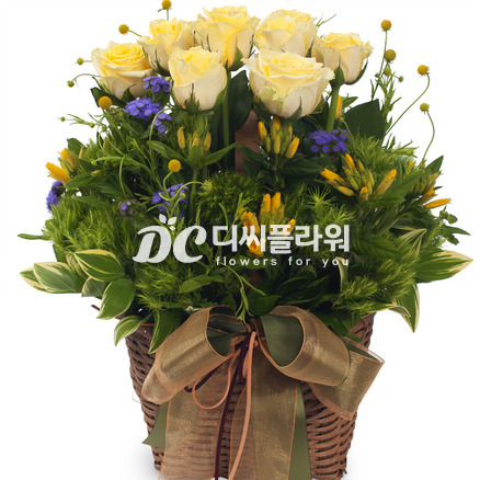 옐로우톤바구니