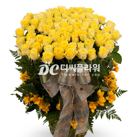 노랑장미100송이