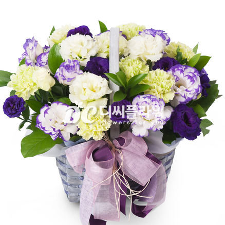 리시안 보라미색 혼합바구니