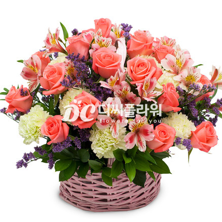 로즈 19호