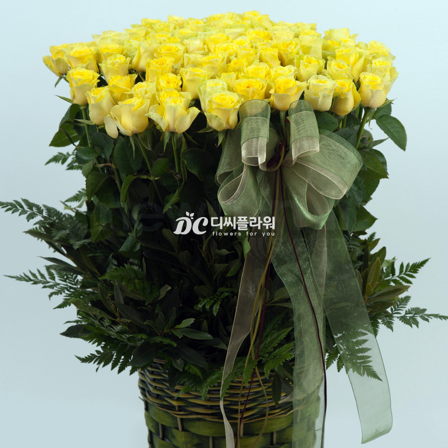 상세이미지