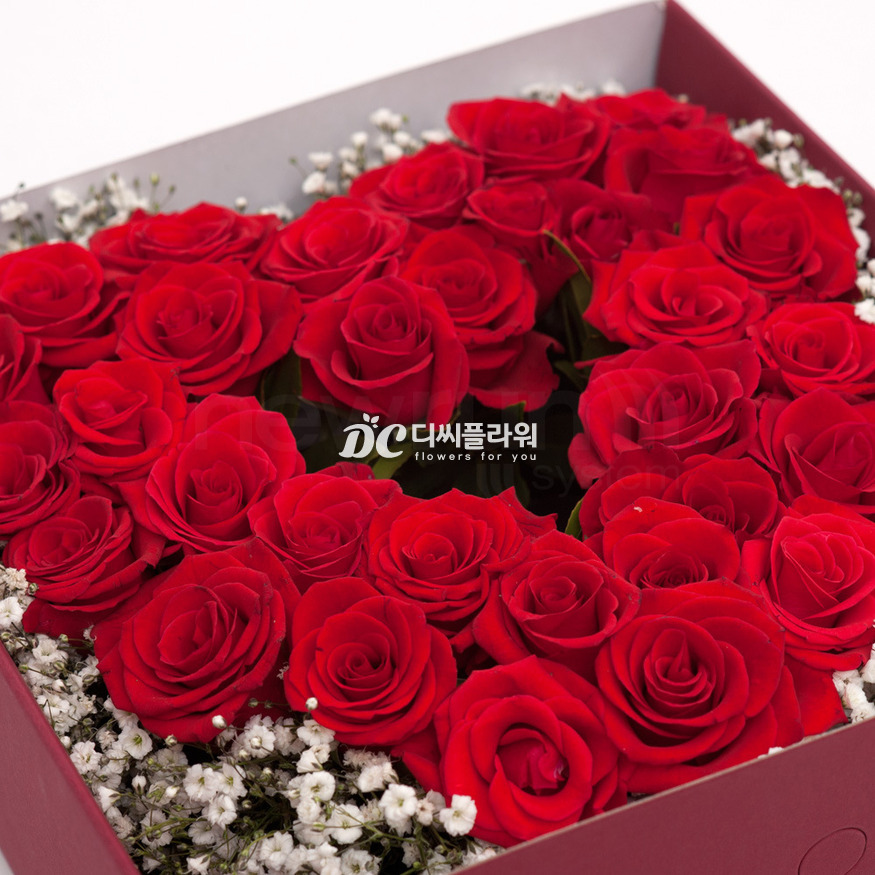 상세이미지