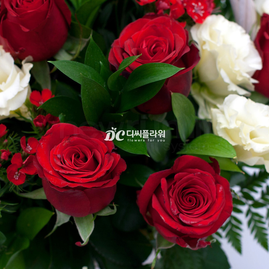 상세이미지