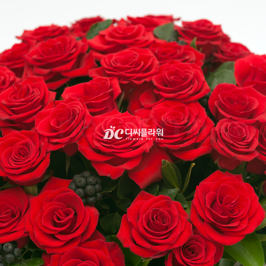 상세이미지