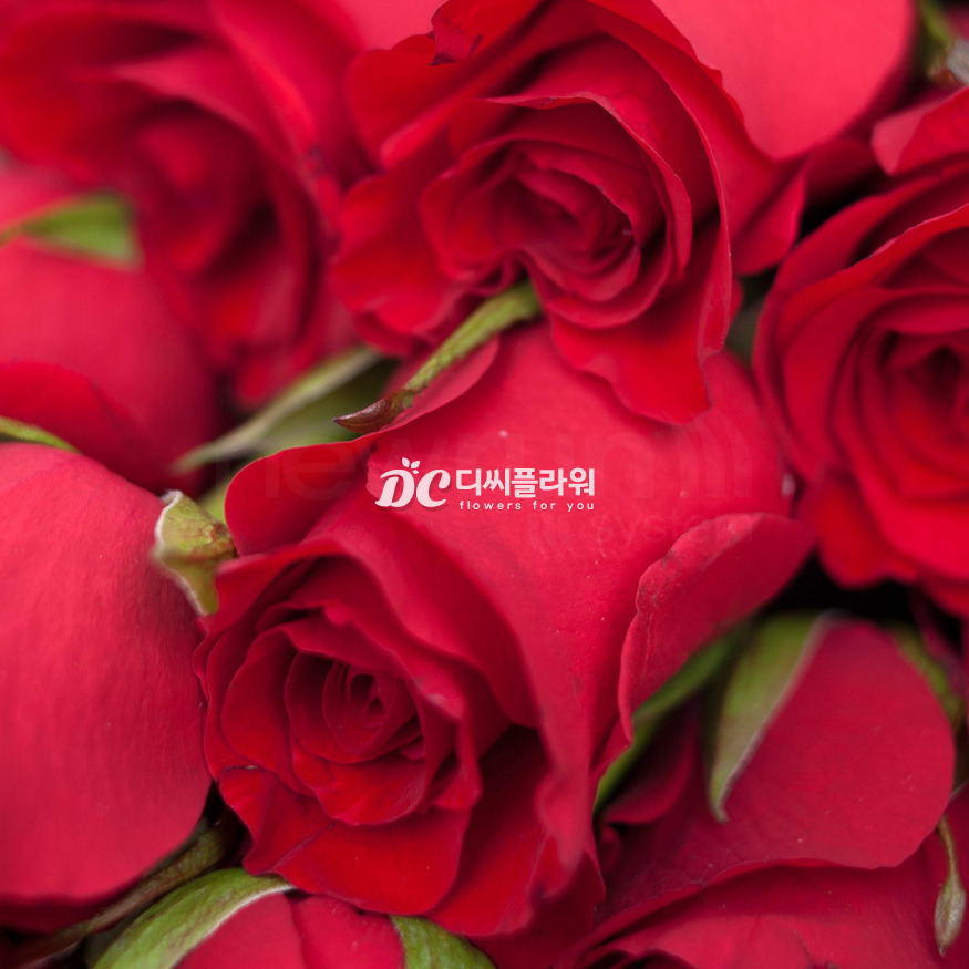상세이미지