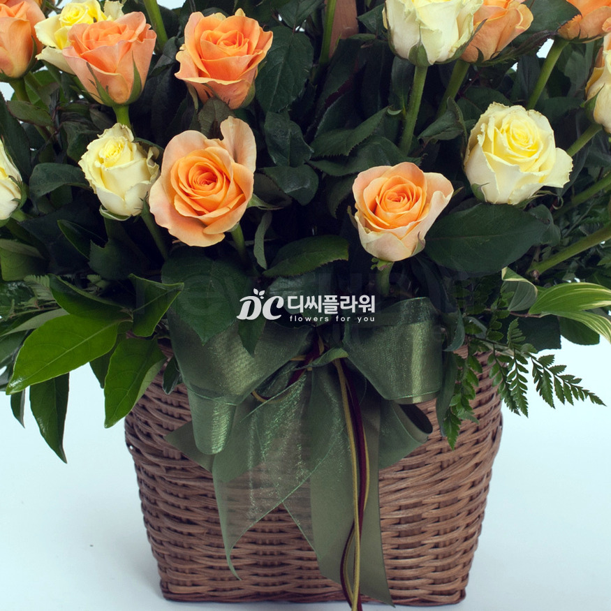 상세이미지