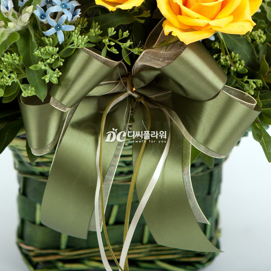 상세이미지