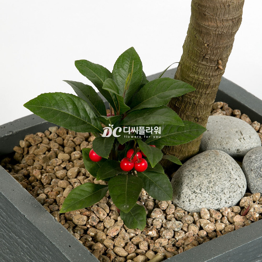 상세이미지