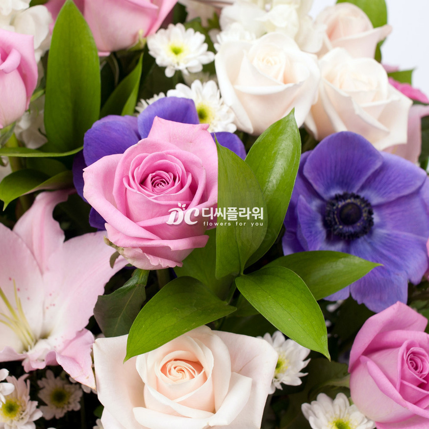 상세이미지