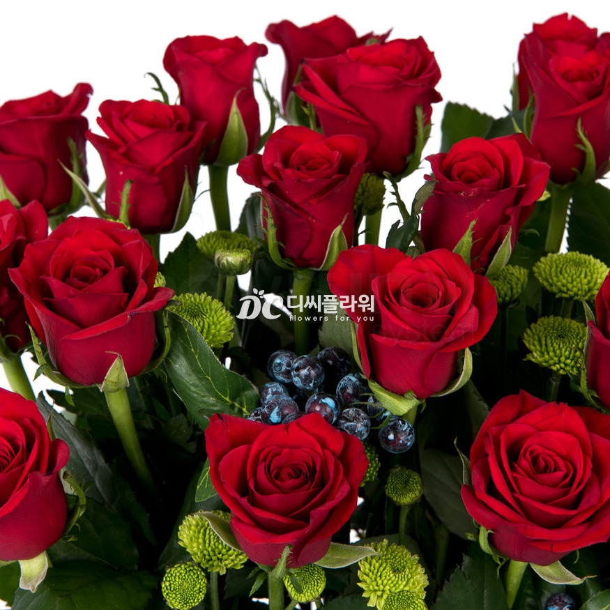 상세이미지