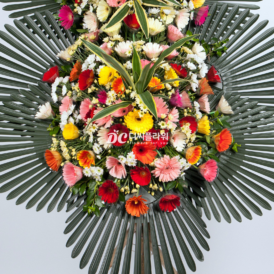 상세이미지