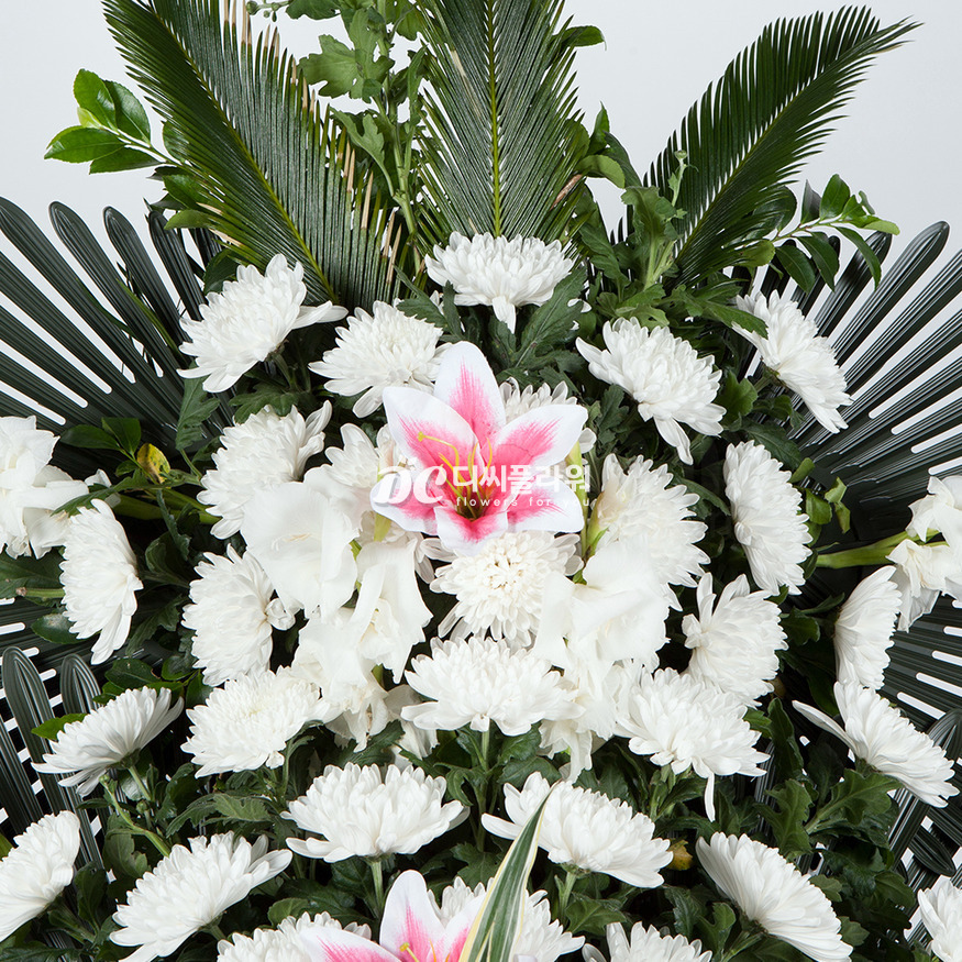 상세이미지