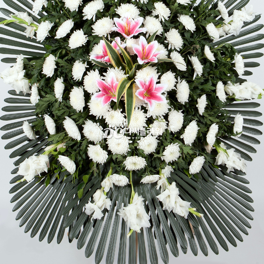 상세이미지