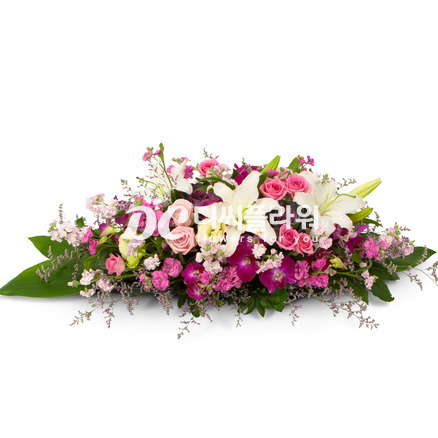 사방화(혼합)