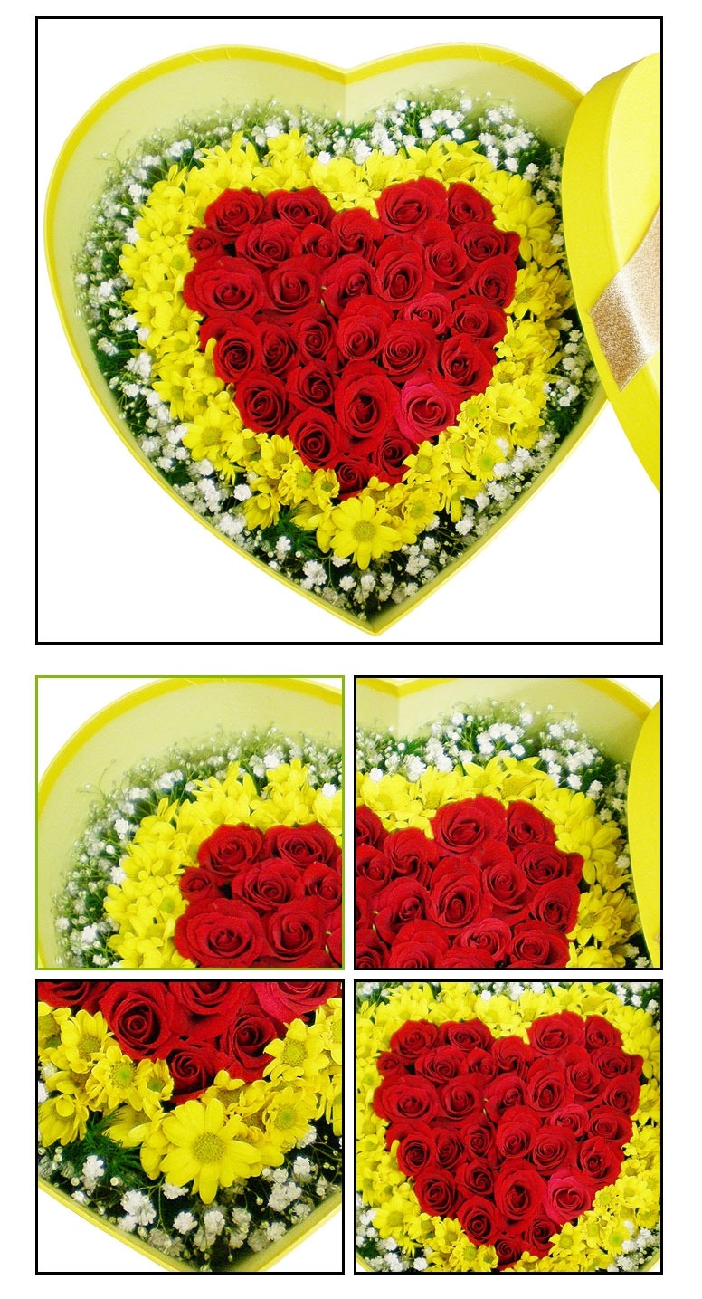 상세이미지